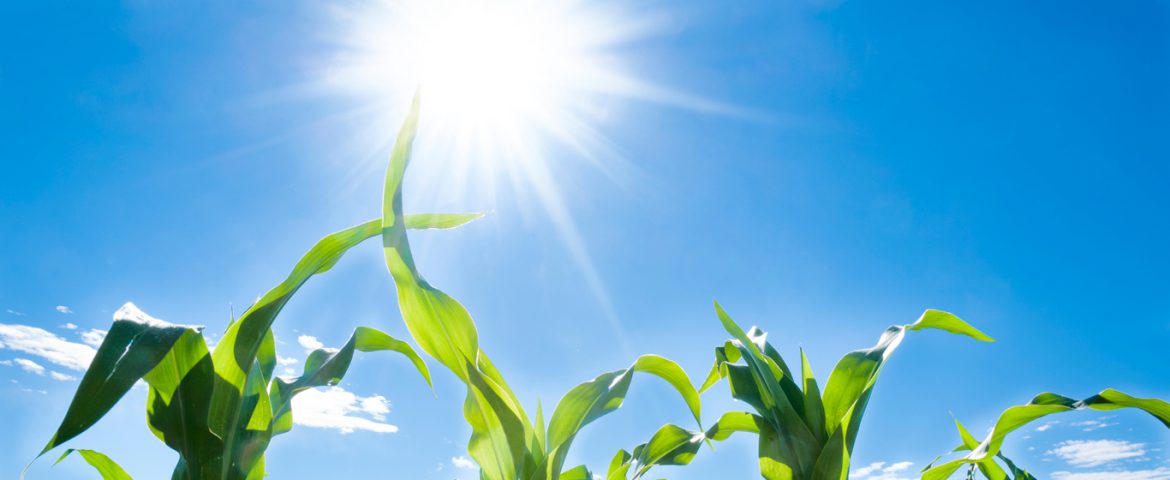 Solar Power: An Overview