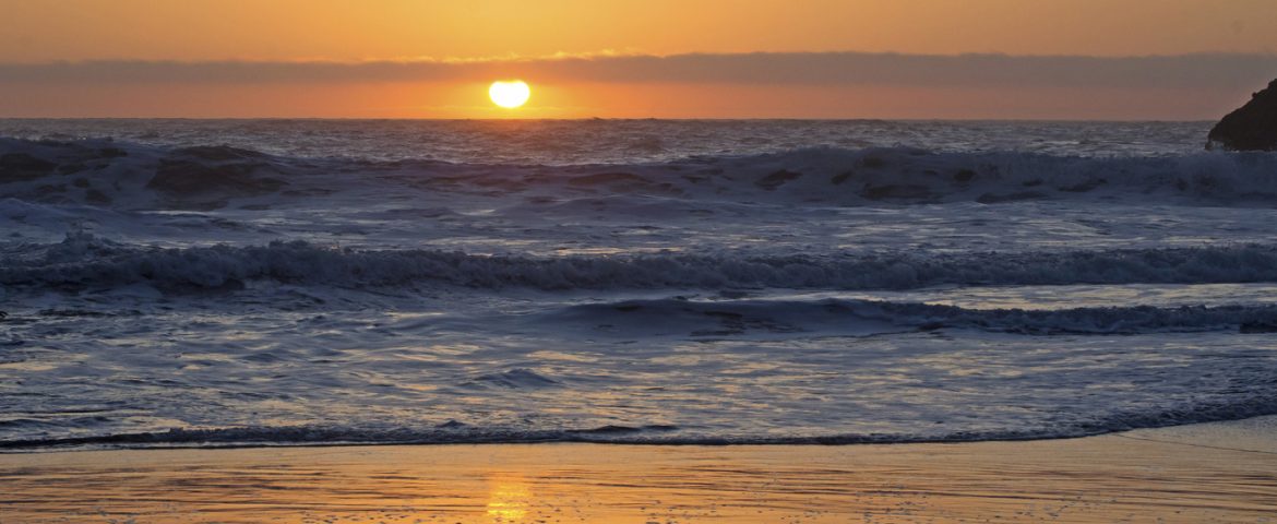 Save the Environment by Switching to Solar